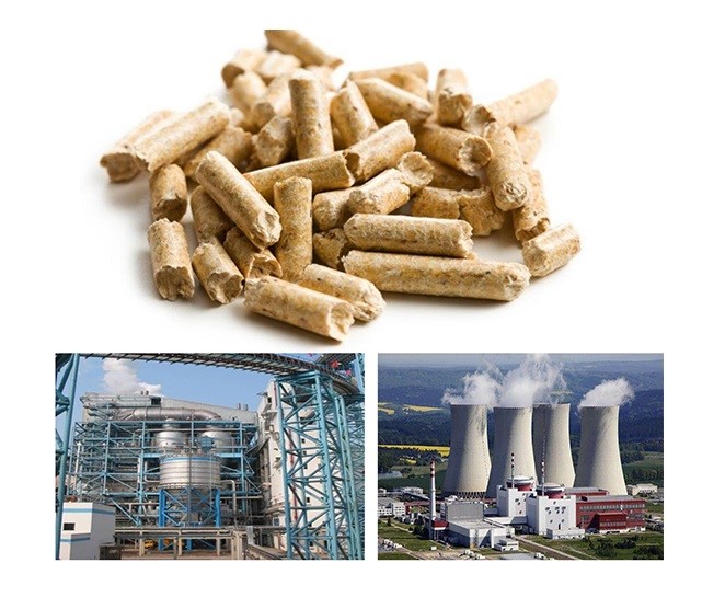 Wood Pellets